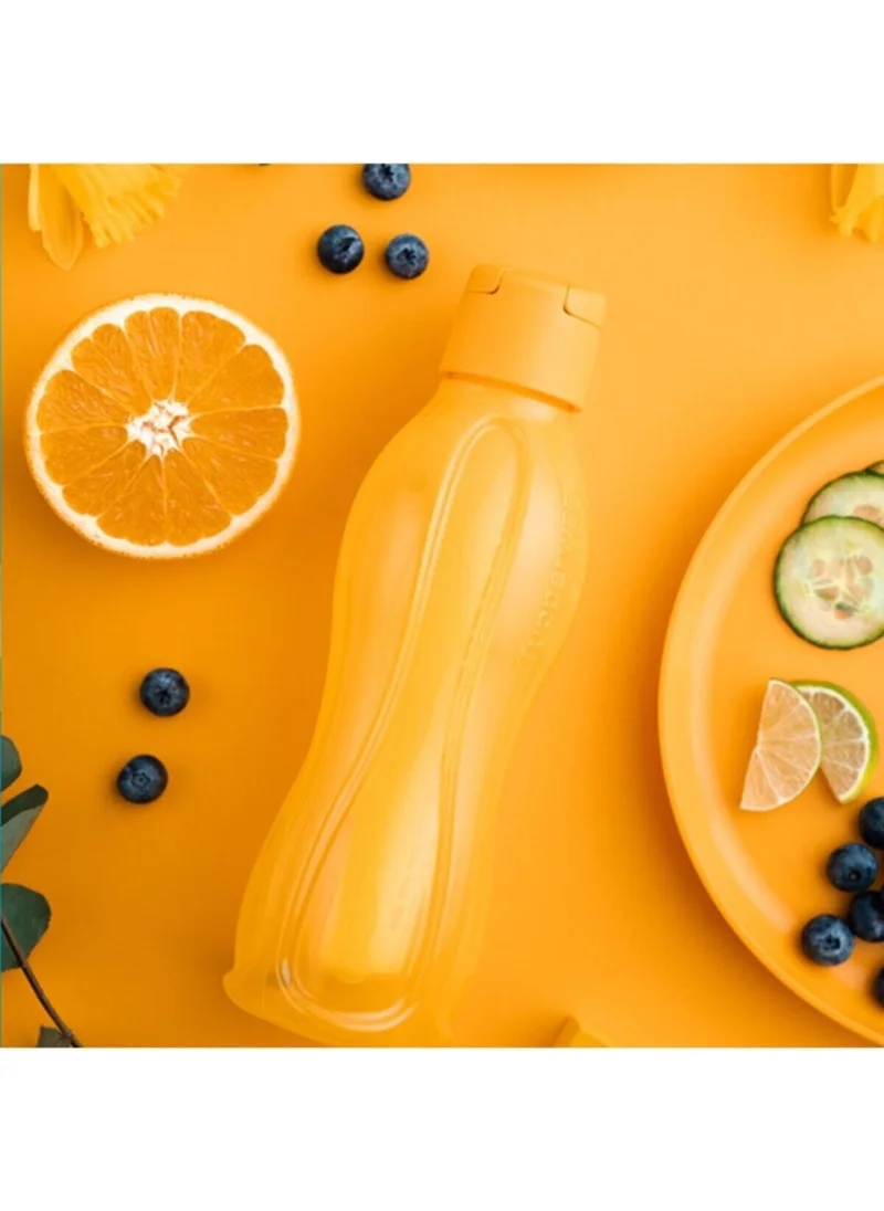 Tupperware Eco Bottle Drinker 750 ml Easy Lid