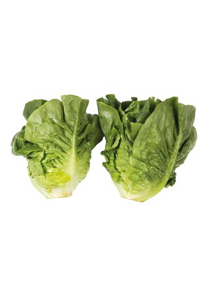 Little Gem Lettuce - Fresh - 200-220g - 2 Pieces