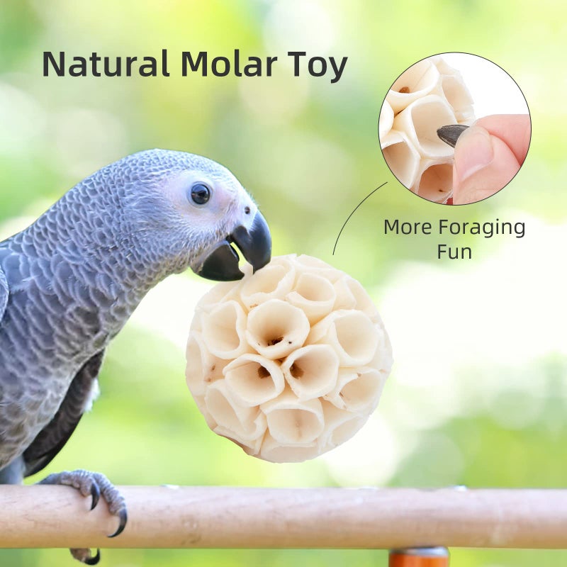 andwe Bird Toy Sola Balls - Natural Soft Chew Shredding & Foraging Toy for Cockatiel Conure Quaker Parrot Budgie Parakeet Rabbit Bunny Guinea Pig Chinchilla (Style 2 (Pack of 6)) - Image 5