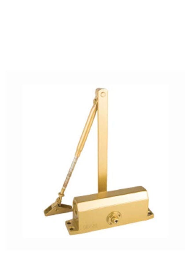 Uken مغلق باب 60-75 كجم (ذهبي)