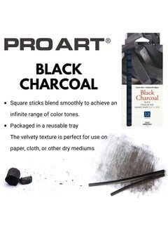 Pro Art Charcoal Set 12 Count (Pack Of 1) Black Piece  - Image 2