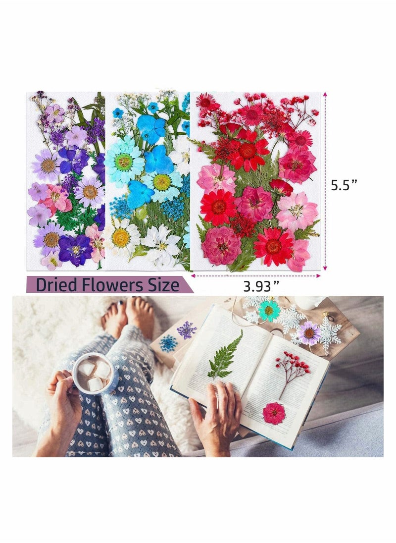 KASTWAVE - Dried Pressed Flowers for Resin, 100Pcs Real Pressed Flowers Dry Leaves Bulk Natural Herbs Kit - Image 1