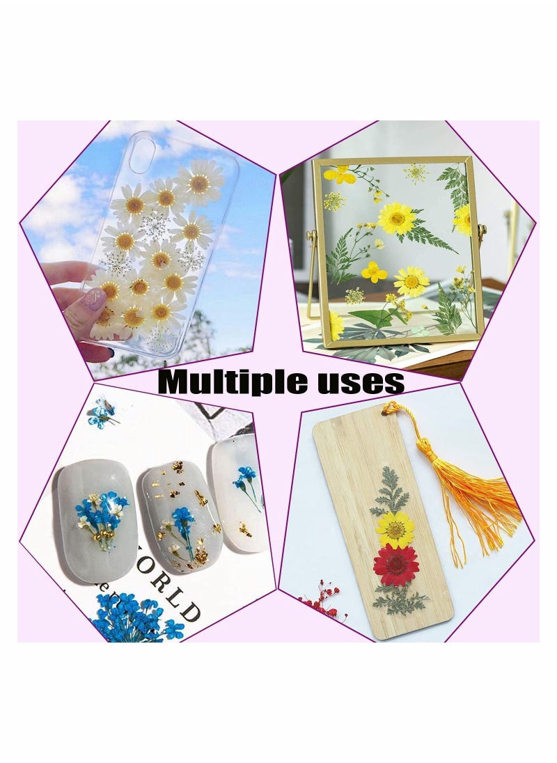 KASTWAVE - Dried Pressed Flowers for Resin, 100Pcs Real Pressed Flowers Dry Leaves Bulk Natural Herbs Kit - Image 1