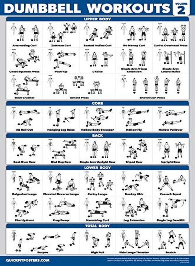 Palace Learning 4 Pack - Dumbbell Workout Posters Volume 1, 2 & 3 + Resistance Bands Exercise Chart - Set of 4 Posters (LAMINATED, 18" x 24") - Image 4