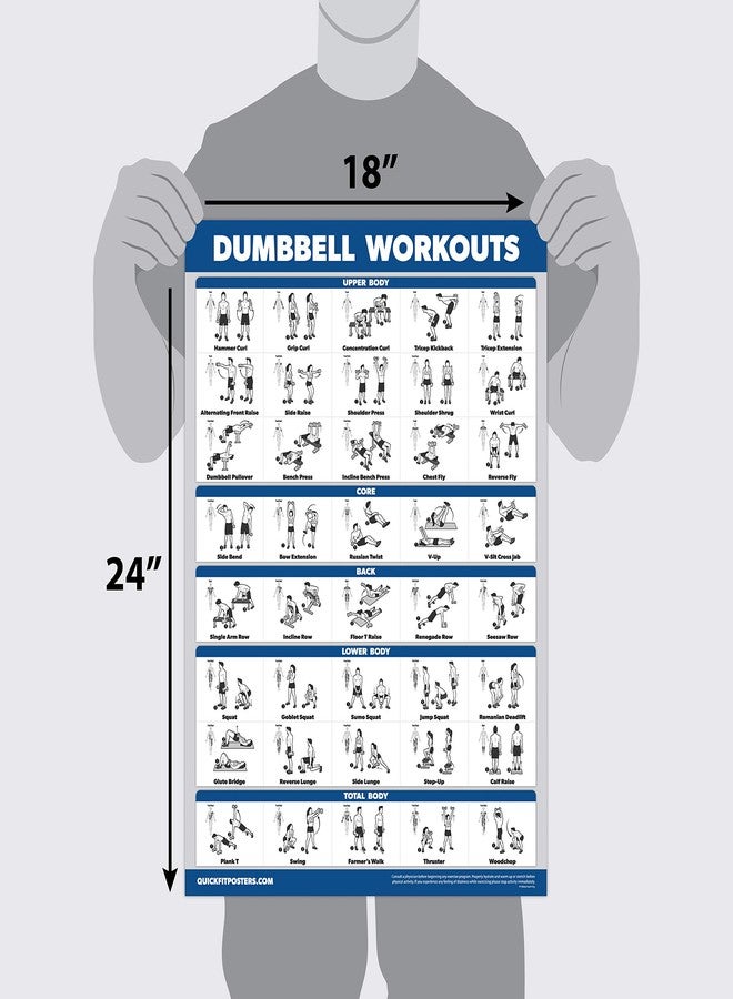 Palace Learning 4 Pack - Dumbbell Workout Posters Volume 1, 2 & 3 + Resistance Bands Exercise Chart - Set of 4 Posters (LAMINATED, 18" x 24") - Image 2
