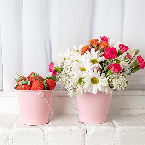 Dominus Decors 6 Pack Small Pink Metal Buckets with Handle – Galvanized Leak Proof and Rust Resistant Multifunction for Party Favors, Organization, School events, Weddings, Garden - 20 FL oz Capacity - Image 1