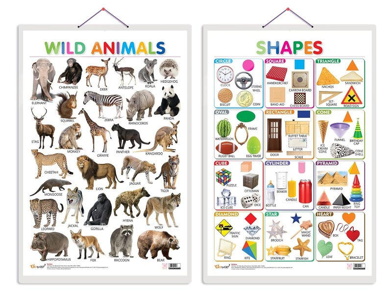 GoWoo Set of 2 Wild Animals and Shapes Early Learning Educational Charts for Kids | 20"X30" inch |Non-Tearable and Waterproof | Double Sided Laminated | ... Kindergarten and Nursery Students - Image 1