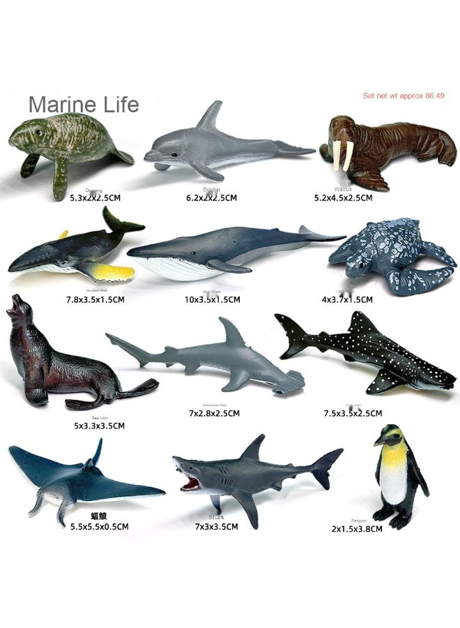 NIBEMINENT Realistic Marine Life Model Set - Educational Toy for Toddlers