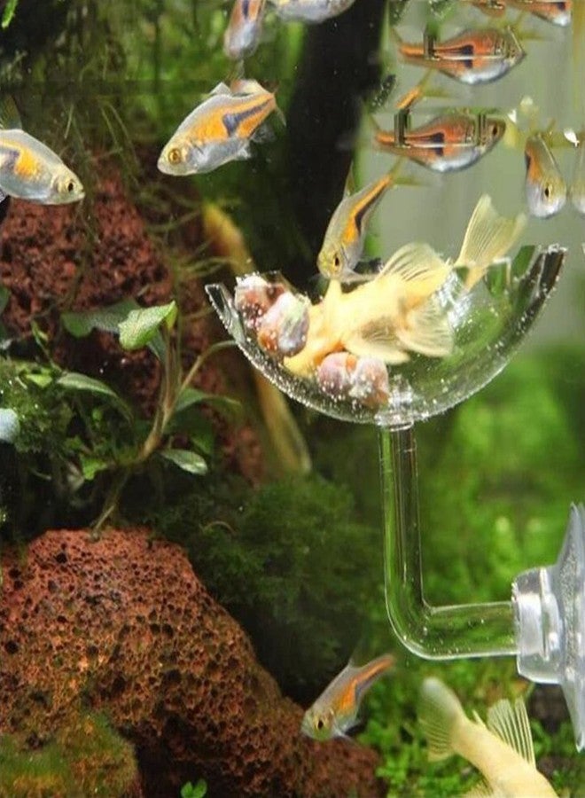 Bilindasly Acrylic Shrimp Feeding Dish Floral Shrimp Bowl Aquarium Transparent Feeder Container with Suction Cup for Aquarium Fish Tank - Image 4