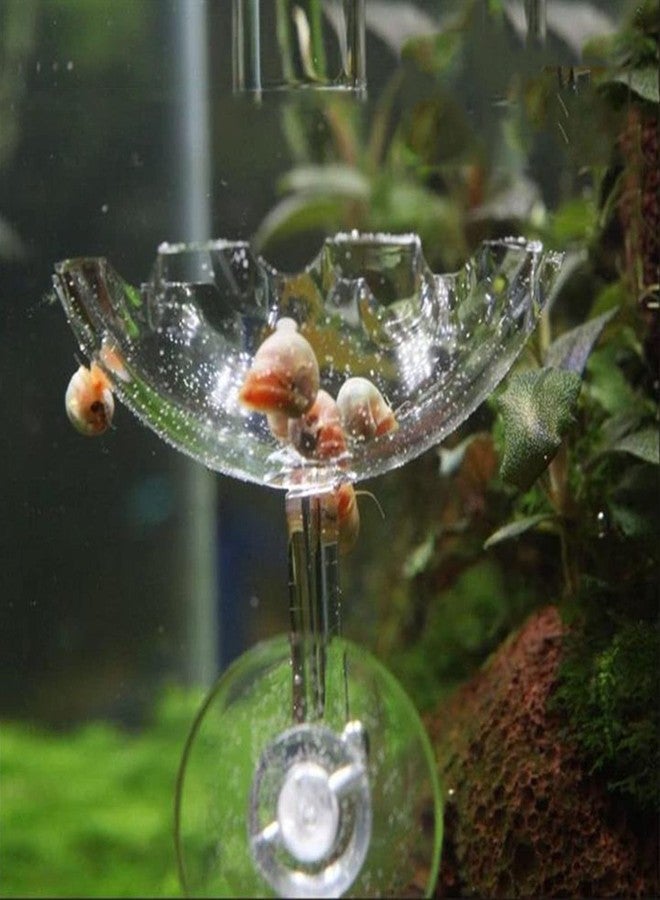 Bilindasly Acrylic Shrimp Feeding Dish Floral Shrimp Bowl Aquarium Transparent Feeder Container with Suction Cup for Aquarium Fish Tank - Image 5