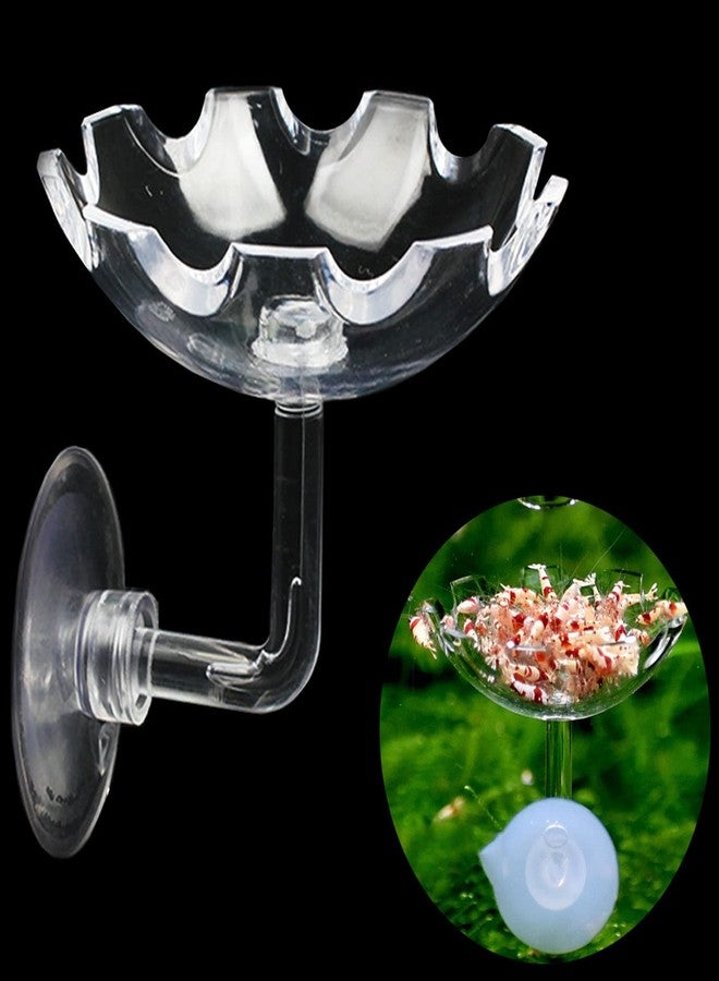 Bilindasly Acrylic Shrimp Feeding Dish Floral Shrimp Bowl Aquarium Transparent Feeder Container with Suction Cup for Aquarium Fish Tank - Image 1