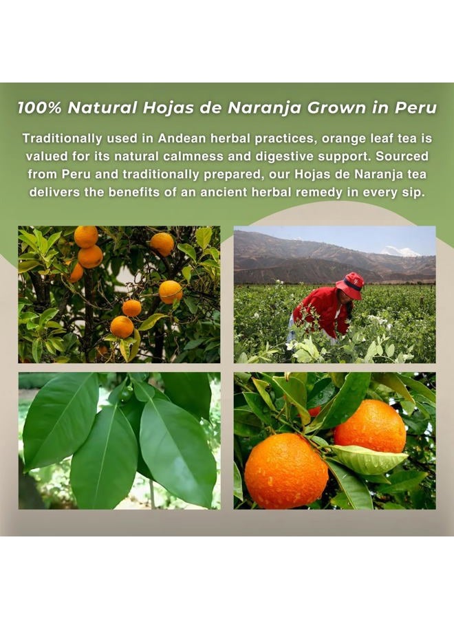 Hanan Orange Leaves (Hoja de Naranja) 1.4 oz (40 g) - Natural, Dried Orange Plant Leaf for Herbal Tea Digestive Supplement - Image 5