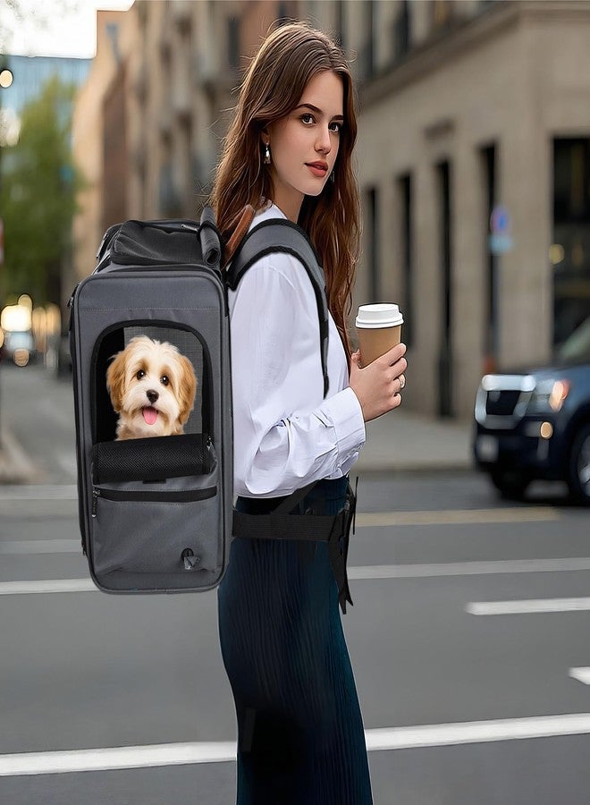EliteField Deluxe Backpack Pet Carrier (3 Year Warranty, Airline Approved), Travel Soft-Sided Carrier Bag for Dogs, Cats & Small Pets - Image 1