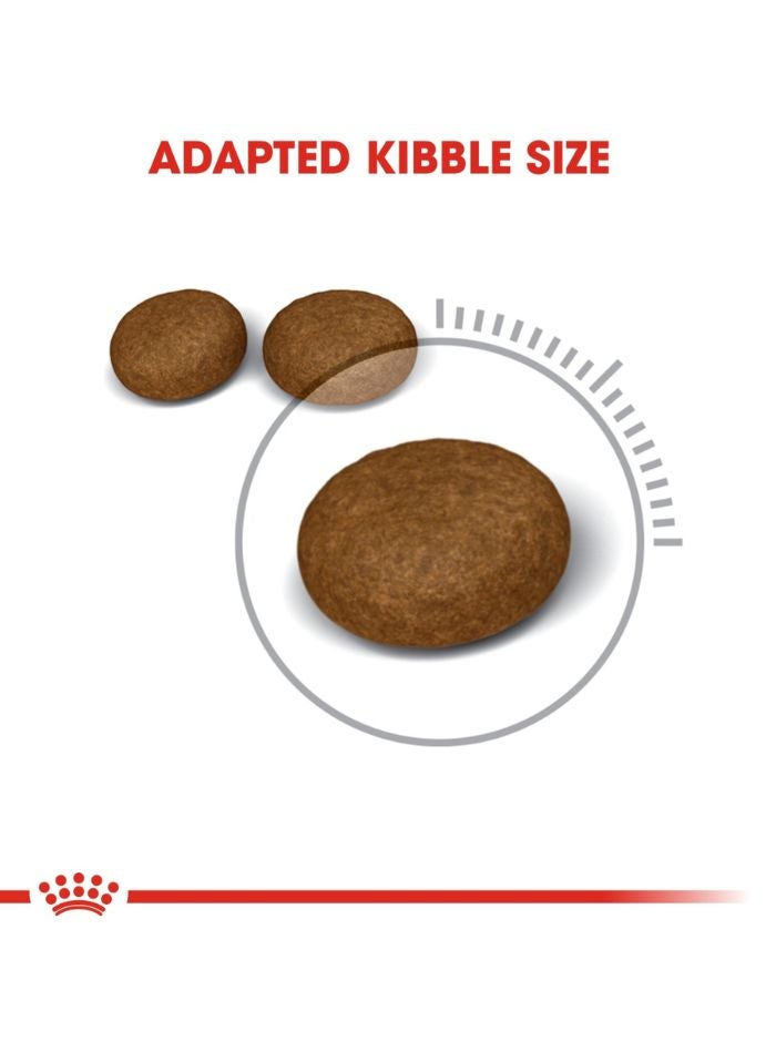 ROYAL CANIN Feline Care Nutrition Hair & Skin 2 KG - Image 2