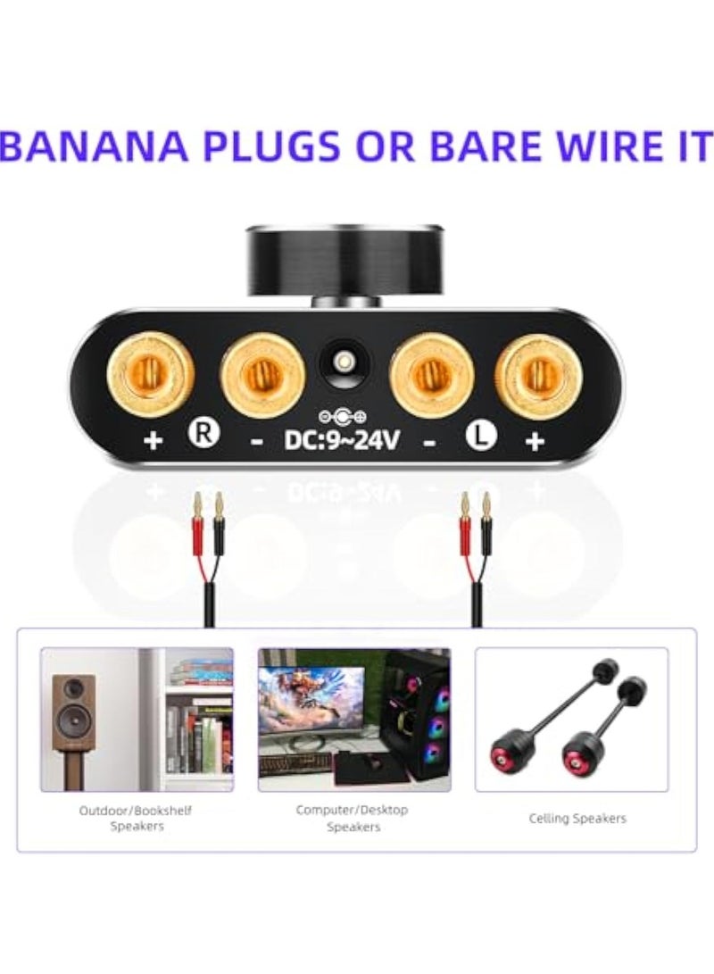 SOLARAE 50W+50W Mini Bluetooth 5.0 Power Amplifier, Stereo Audio Amplifier, Multiroom Streaming Amplifier, Wireless Stereo Hi-Fi Digital Audio Receiver, 2 Channel with AUX USB BT Input - Image 3