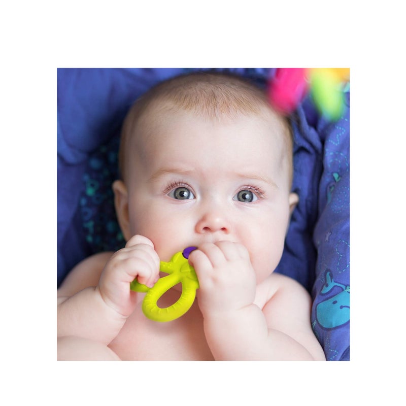 SOLARAE 5 Pack BPA Free Silicone Fruit Teether Toy with Storage Case, for 3 Months Above Infant Sore Gums Pain Relief - Image 2