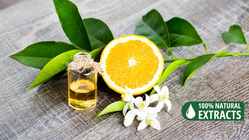 Bless International Bless-Orange-Blossom-Incense-Sticks 100%-Natural-Handmade-Hand-Dipped-Incense-Sticks Organic-Chemicals-Free for-Purification-Relaxation-Positivity-Yoga-Meditation Best-Woods-Scent (100 Sticks(150GM)) - Image 3