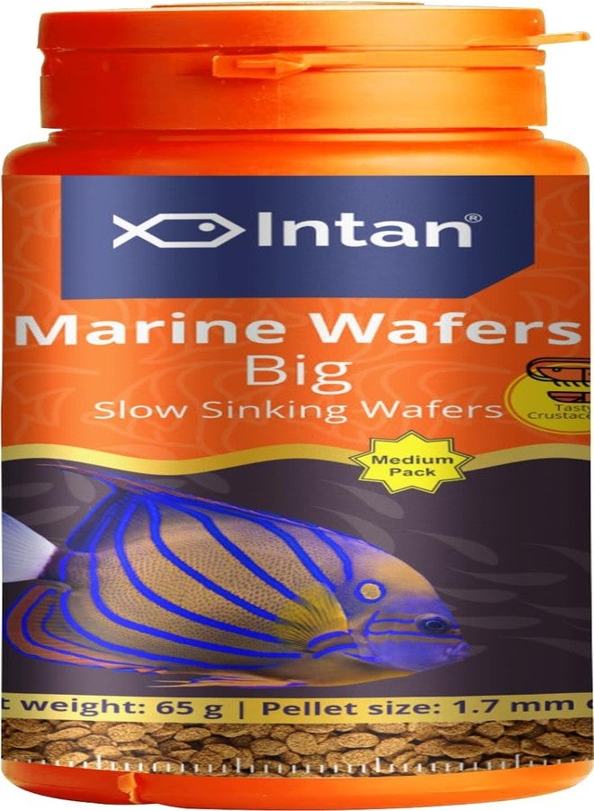 Intan Fisherman’S Intan Marine Wafers Big for Fish | Slow Sinking Wafers for Marine Fish | Medium Pack 65 Gram, 1.7 mm Dia - Image 1