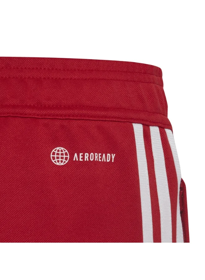 Adidas TIRO23 L PNT Y