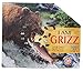 Madd Capp Puzzles I AM Grizz 1000 Pieces Animal Shaped Jigsaw Puzzle Multi - Image 2