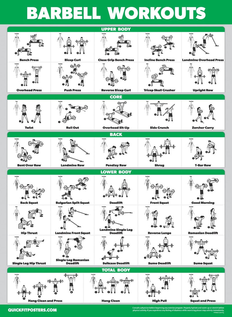 Palace Learning 4 Pack - Dumbbell + Barbell + Bodyweight Workouts - Muscle Set of 4 Laminated Charts (18'' x 24'') - Image 3