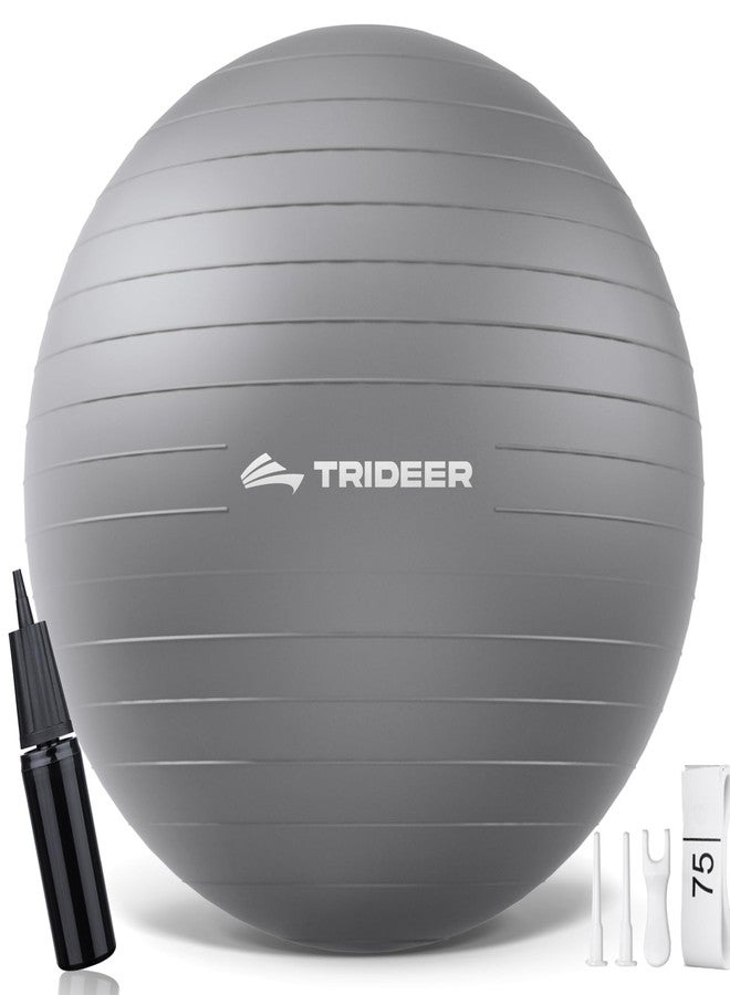 Trideer Exercise Ball Yoga Ball - Office Seating & Balance Ball Chair, Stability Ball for Pilates, Physical Therapy,Core Training & Balance Improvement & Stretching - Image 1