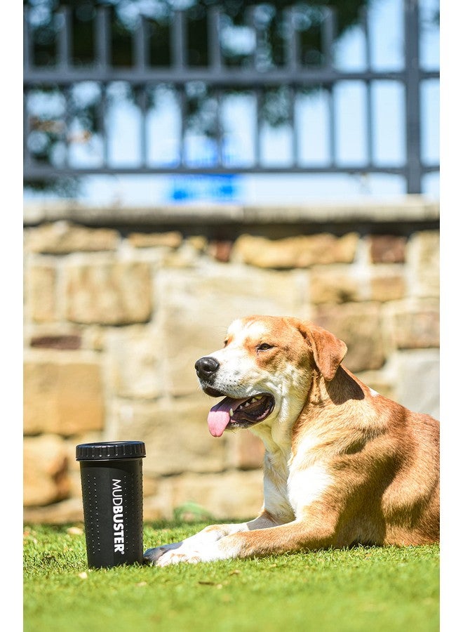 Dexas MudBuster Portable Dog Paw Washer/Paw Cleaner, Large, Matte Black- Special Edition (PW72025-22WP) - Image 3