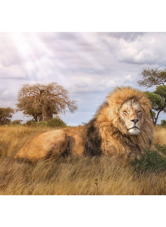 Clementoni 1000-Piece Premium Jigsaw Puzzle – The Majestic King Artwork - Image 2