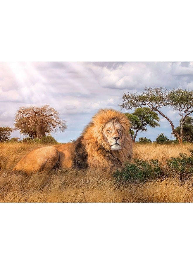 Clementoni 1000-Piece Premium Jigsaw Puzzle – The Majestic King Artwork - Image 4