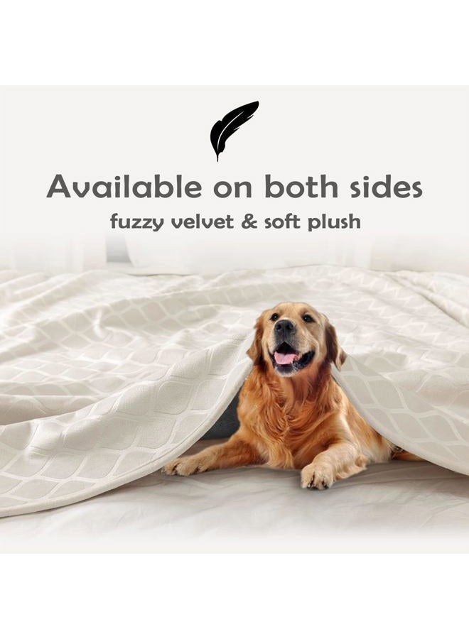 fuguitex Waterproof Dog Blanket Bed Cover Dog Crystal Velvet Moroccan Fuzzy Cozy Plush Pet Blanket Throw Blanket for Couch Sofa(68 * 82 inch, Cream+Beige) - Image 4