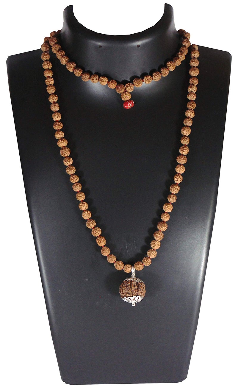 ShivaRatna 5 Mukhi Rudraksha (Nepal) + 109 Beads of Five Mukhi Rudraksha mala (Pure Silver Cap & Lab Certified) - Image 1