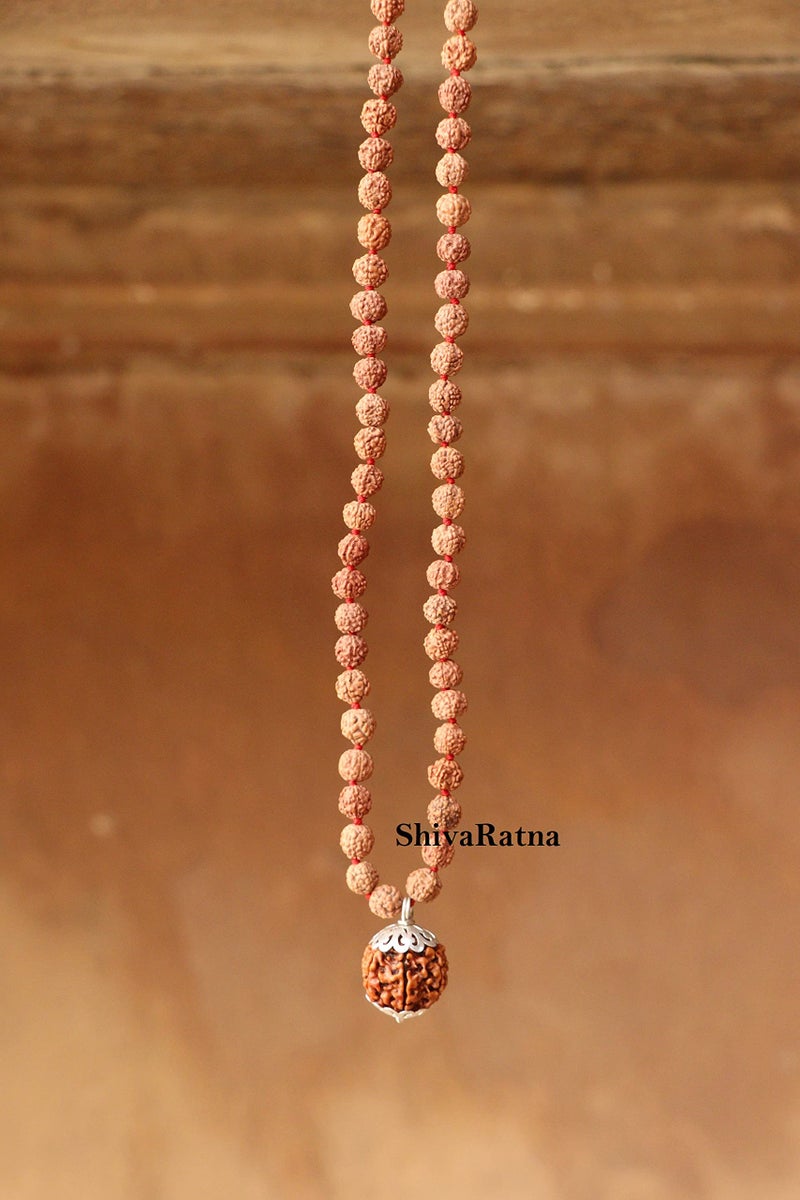 ShivaRatna 5 Mukhi Rudraksha (Nepal) + 109 Beads of Five Mukhi Rudraksha mala (Pure Silver Cap & Lab Certified) - Image 4