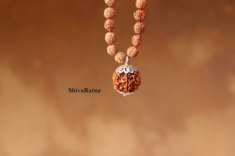 ShivaRatna 5 Mukhi Rudraksha (Nepal) + 109 Beads of Five Mukhi Rudraksha mala (Pure Silver Cap & Lab Certified) - Image 3