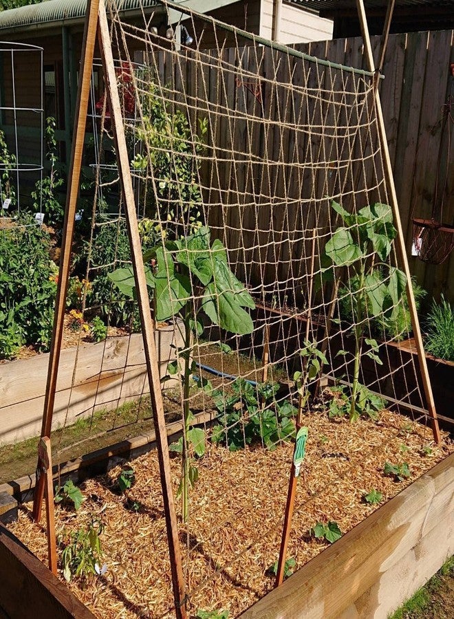 Miuezuth Plant Support Trellis Netting - Biodegradable Natural Jute Net for Garden Climbing Vining Plants Cucumber, Vine, Fruits & Vegetables Tomato (6.6 Ft x 9.8 Ft, 5.9 Inch Squares) - Image 5