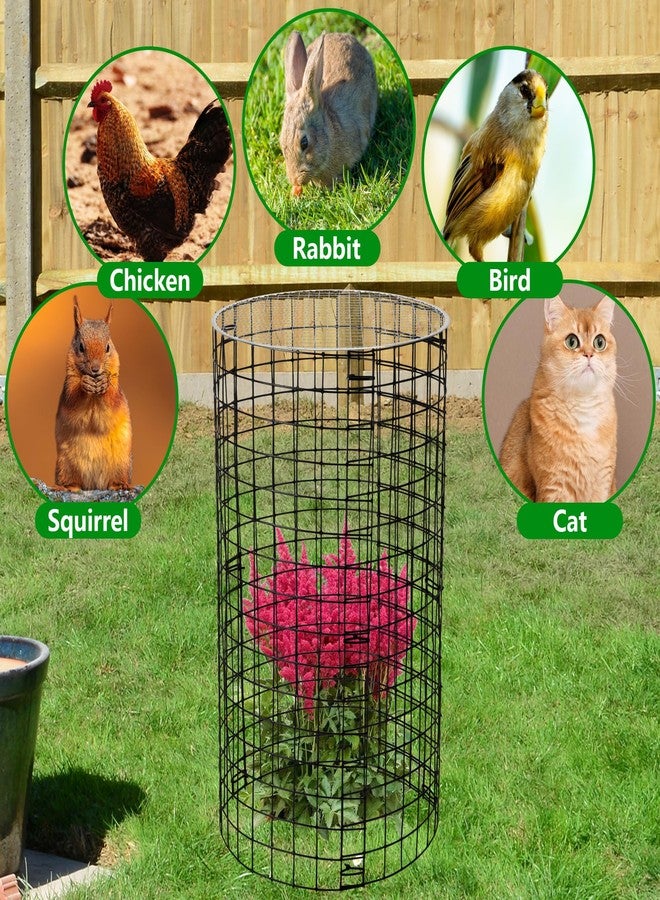 Adnee 8 Pack Wire Plant Protector with Cover-20" x 11" Detachable Metal Plant Protectors Mesh-Garden Plant Protectors for Flower Vegetable to Keep Animals Out - Image 5
