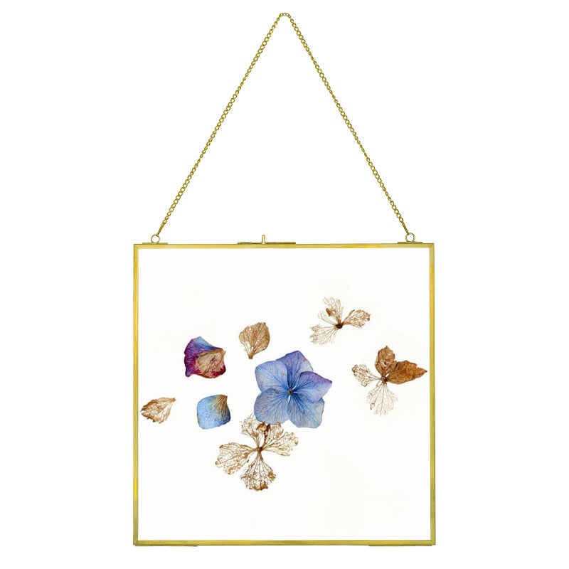 Large Brass Hanging Photo Frame for Pressed Flowers 12x12 inch Double Clear Glass Frame DIY Artwork Picture Display Glass Clip Frames for Dried Plant Specimen Modern Wall Gold Square Ornament Frame
