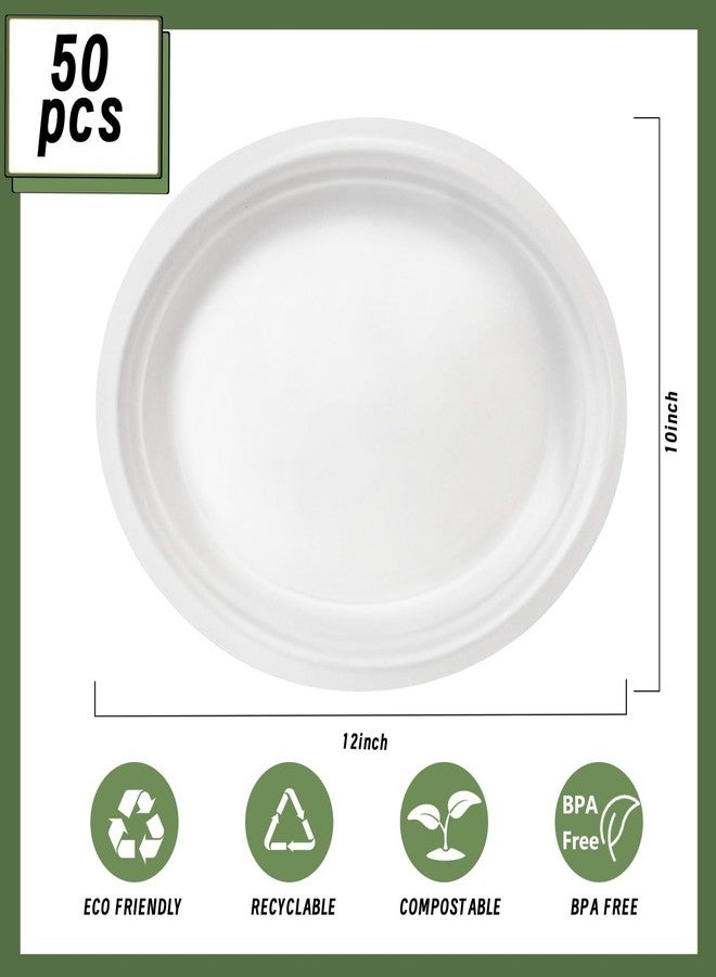 VEIZEDD 50 PCS White Plates | Compostable Oval Paper Plates 12 Inch | Heavy Duty Disposable Plates Large Platters for BBQ, Picnic, Parties, Home,Easter,St Patricks - Image 2