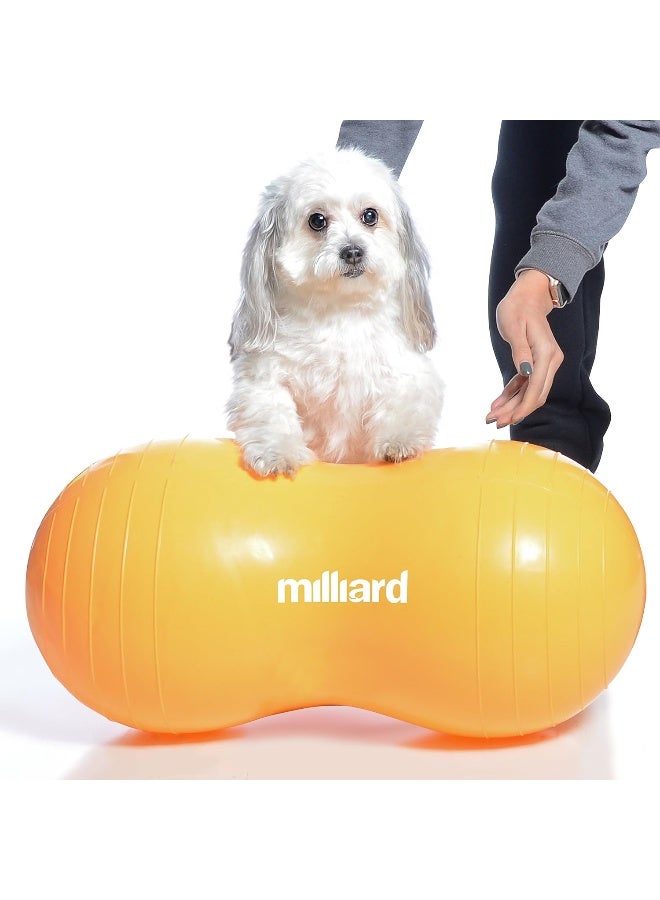 Milliard Peanut Ball Physio Roll for Exercise, Therapy, Labor, Birthing and Dog Training - Image 1