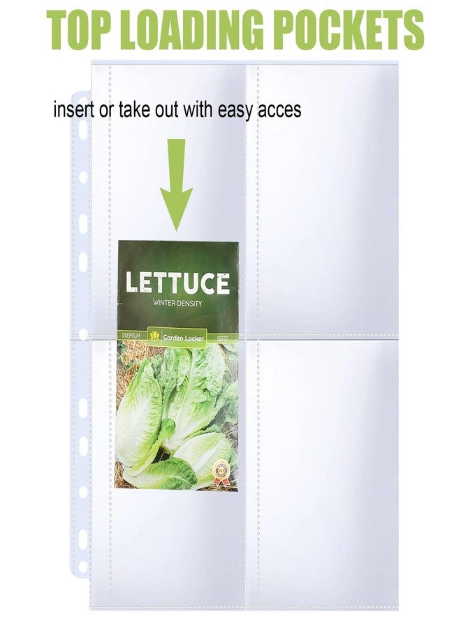 MUQING 30 Pack 120 Pockets Seed Packet Binder Sleeves, Garden Seed Storage Organizer Pages for 3 Ring Binder, Slot Size 3.5"x 5.5", Sleeves for Seed Holder Container, Seed Saver Protector - Image 3