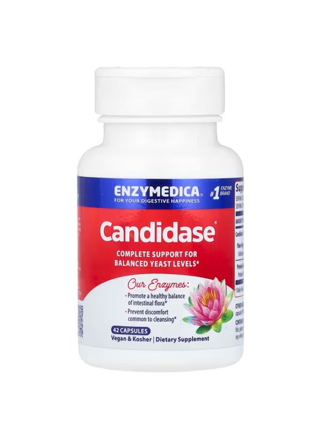 إنزيميديكا إنزيميديا، كانديداز، 42 كبسولة