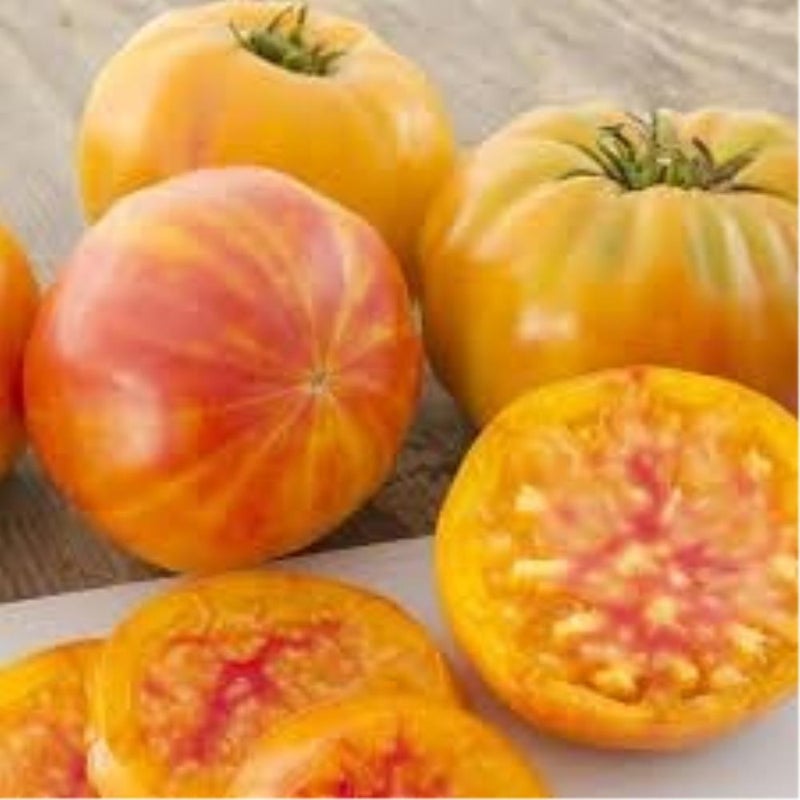 25+ Rare Big Rainbow Tomato Seeds Plus Bonus 100+ Great Lakes Iceberg Lettuce Seeds. Heirloom Tomato and Lettuce Seeds Combo Pack, Fresh Seeds from 2025 Growing Season. Perfect Companion seeds. - Image 3