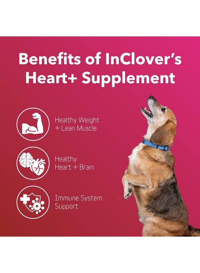 InClover, Dog Heart Health Supplement BioVibrant, Helps Support Dog Heart Health, Dog Supplement Treat Powder with Taurine Helps Pet Heart Health and Weight Management, Immune Support
