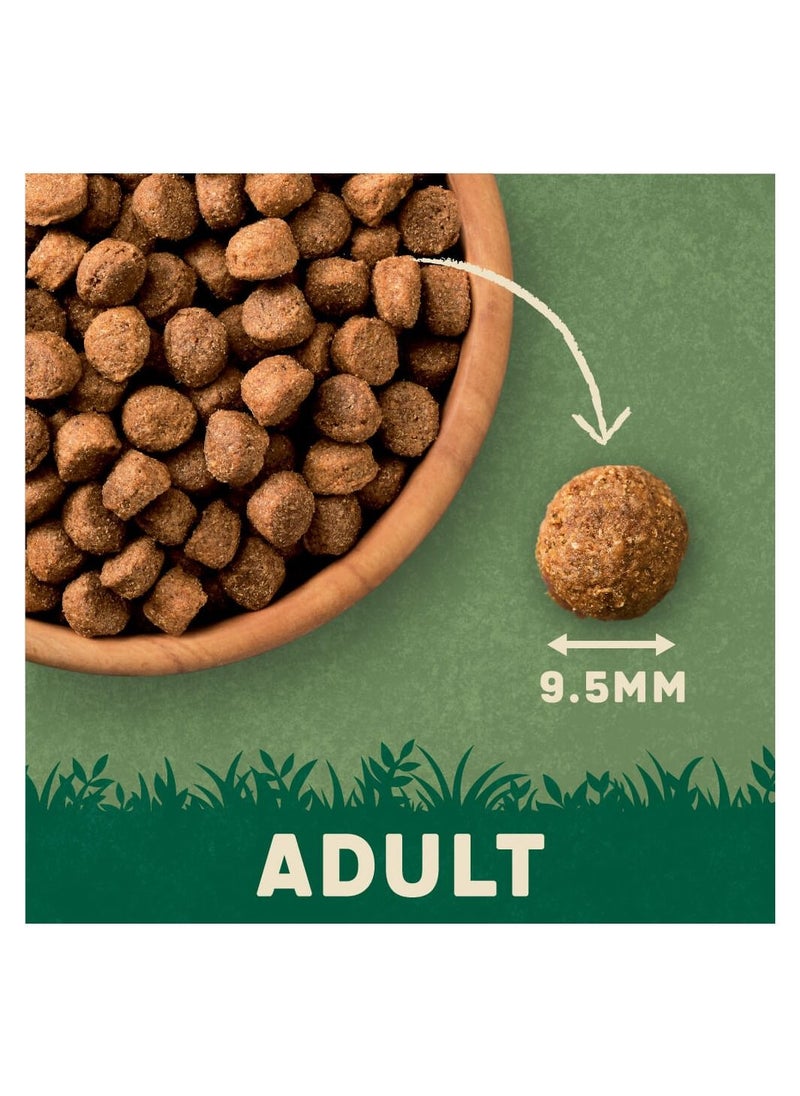 HARRINGTONS - Complete Chicken Adult Dry Dog Food 1.7Kg - Image 1