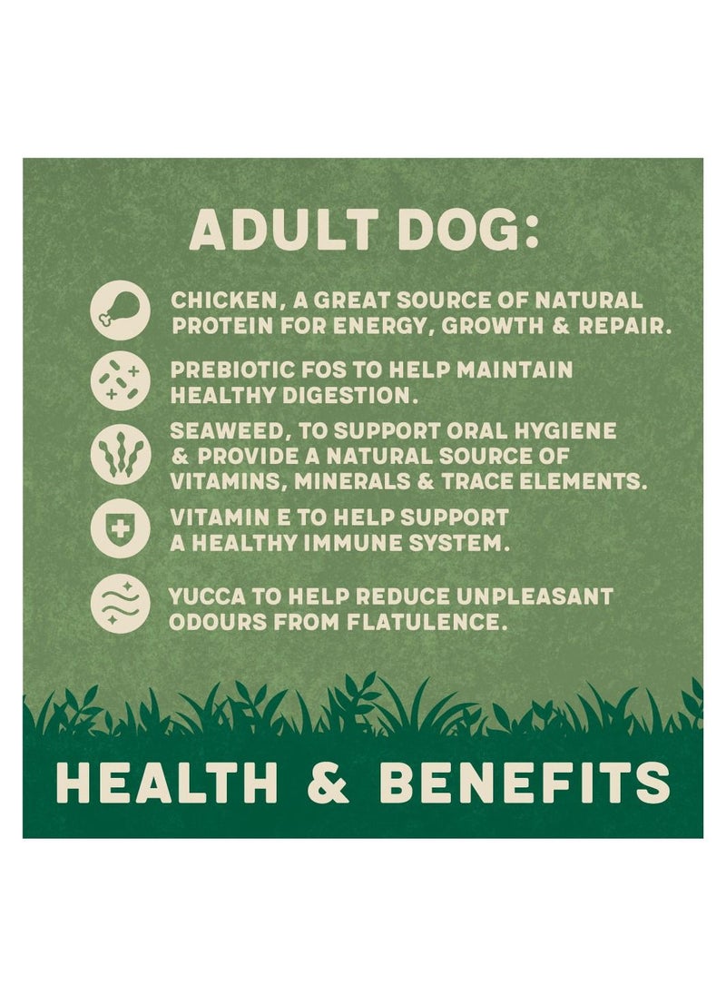 HARRINGTONS - Complete Chicken Adult Dry Dog Food 1.7Kg - Image 1