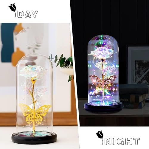 FWQPRA Rose Mothers Day Flower Dome for Mom from Daughter Son, Birthday for Women Grandma Wife Girlfriend Sister, Womens Gift for Teacher,Anniversary Christmas (Rose Flower) - Image 2