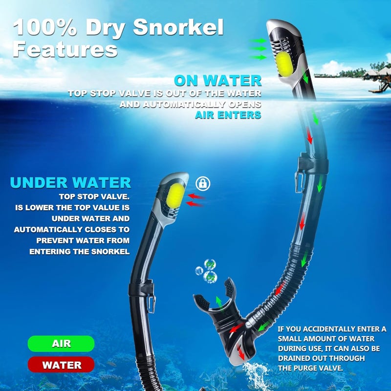 EXP VISION Schnorchelset Schnorchelausrstung fr Erwachsene, Professionelle Anti-Beschlag-Schnorchelmaske, Trockenschnorchel Tauchmaske fr Freitauchen,Schnorcheln,Schwimmen - Image 4