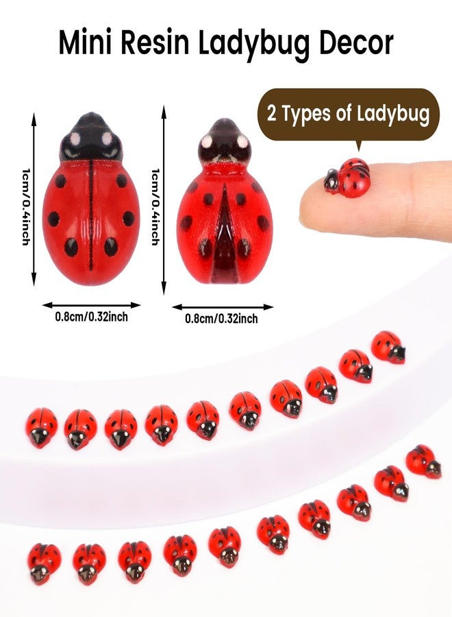 Yonseng 200pcs Mini Resin Ladybug Decor Tiny Ladybug for Crafts Dollhouse Miniatures Mini Resin Things Animals for Fairy Garden Micro Landscaping Home Decoration, 2 Types(0.32*0.4inch & 0.3*0.36inch) - Image 2