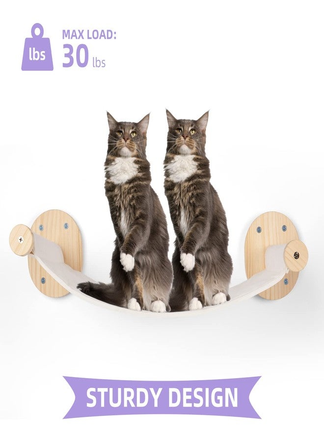 BEBOBLY Cat Wall Shelves and Perches Set | Kitty Hammock Wall Mounted Climbing Shelf with Two Steps | Modern Pet Sisal Stairway Stairs - Image 4