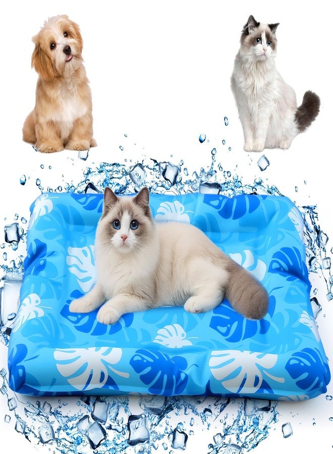 Drydiet Cooling Mat for Large Cats, 33.9'' x 28.3'' Thickened Rectangular Pad Anti-Grab Internal Cold Gel Without Water Filling, Lightweight, Washable, Playmat for Indoor/Outdoor - Image 1