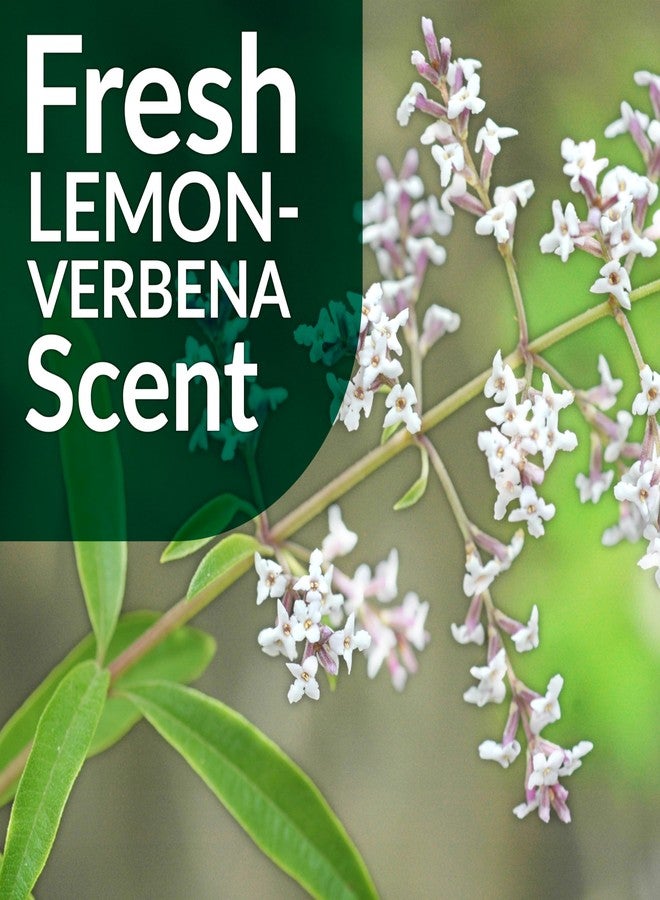Simple Green Multi-Surface Floor Care - Cleans Hardwood, Vinyl, Laminate, Tile, Concrete and Other Wood - pH Neutral Floor Cleaner 32oz - Image 5